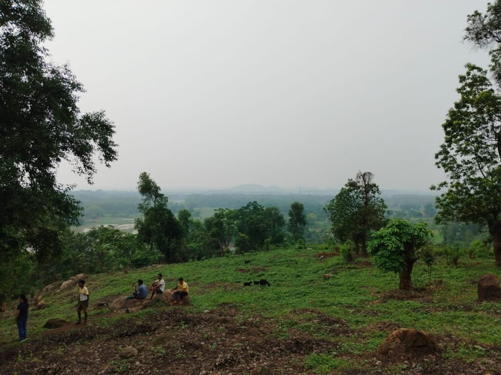 Kirat Biotech farm at Khetri Assam